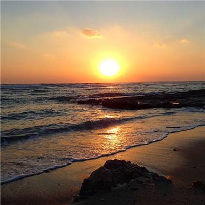 yaboapp下载手机版