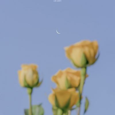 AG九游会下载手机版