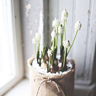 金博宝官网app下载