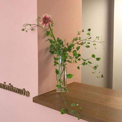 leyuapp下载官网下载